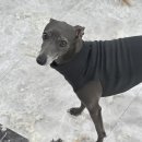 서대구동물병원 이미지