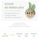 에센스 재생에센스 추천 장스팜스 NC5 밍크오일 유수분밸런스 후기