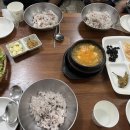 서문식당 - 서귀포시 성읍민속로 101 | [대구] 청국장과 갈비찜이 맛있는 서문시장 경희식당 내돈내산 후기 🍚🥘
