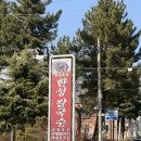 한성칼국수 | 속초 맛집 한성칼국수 후기｜장칼국수·해물칼국수·손칼국수, 무생채가 시그니처인 이유