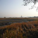 갯골생태공원(캠핑장) 이미지