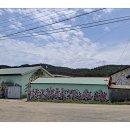 상발농장 Daum카페