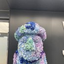 제주여행사주 이미지