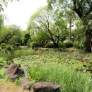 래미안퍼스티지중심상가 이미지