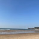 만리포니아서핑협동조합