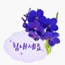 늘찬 이미지