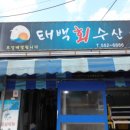 태백회수산 방문 후기, 현지 느낌 제대로 나는 태백 맛집