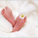 금천 한의원 이미지