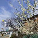 군북면보건지소 이미지