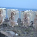 울릉도산나물，더덕