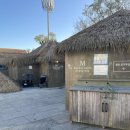 에코랜드 수영장 1층 | 에코랜드 호텔 수영장과 풀스낵바