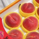 고도농장 이미지