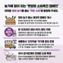 친환경할인마트 | 양파 소비촉진 본격화, 할인 연장에 판매처도 늘었다