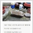 기레기 때문에 사람들이 잘못 알고있는것 이미지