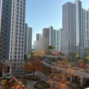 아이골프존 서울대지점 | 수원광교 서울대 전담의 1:1 비만클리닉 지방분해주사 내돈내산 2차 후기