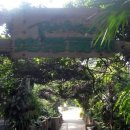 우림농장1 이미지