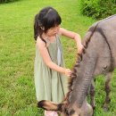 이천두농장 이미지