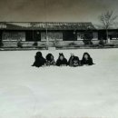 판문농장 이미지