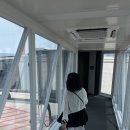 [여행] 오키나와 6월 3박4일 내돈내산 여행 후기