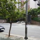 엘지김밥 이미지