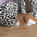 미랑미랑 이미지