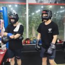 앨바트로복싱 이미지