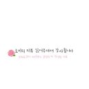떴다파닭 이미지