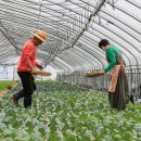 광준농장 이미지