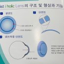 안경홀릭 이미지