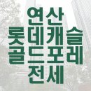 롯데캐슬골드포레공인중개사사무소 이미지