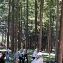 ㈜명상여행사 이미지