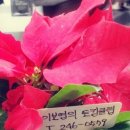 수원-0579 네이버블로그