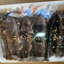 은솔마약꼬마김밥