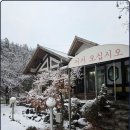 장어독립 이미지