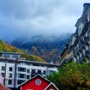 성은농장 | 스위스 여행 #3 로잔 라보지구 계단식포도밭 트래킹, 몽트뢰와 시옹성까지 (Lausanne, Lavaux, Montreux...