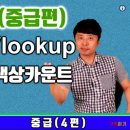 엑셀 배우기 이론 12편 (중급4편 함수 Match, Vlookup, Get.Cell 색상카운트)-대직장인DNA 이미지