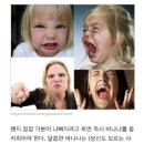 J-PT 이미지