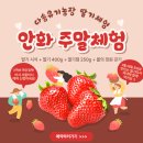 국가태권도학교 | 병점동 &amp; 진안동 태권도 추천 1등 맛집! 후기로 이미 소문난 우리 동네 태권도학원 경희대안화태권도장...