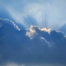 지애약국 이미지