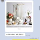 롤링벌룬 이미지