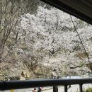 소요산서울식당 이미지