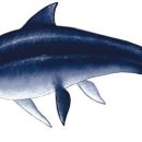 덕소자연사박물관 이미지