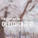 서울 피크닉 벚꽃 명소 &#34;어린이 대공원&#34;