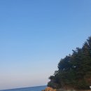 달달커피