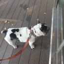 아리랑 커피호프 | (올해는)마지막 백수의 글