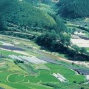 태고정(아래) 이미지