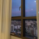 라코지스테이서울 이미지