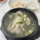 고궁 | 울산 남구 삼계탕 맛집 고궁 후기 - 복날 추천, 주차, 예약방법