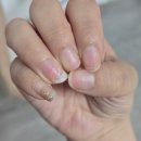 손톱영양제 유케어 네일리부트 얼루어모어 사용 후기