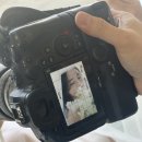 플레르하우스 이미지